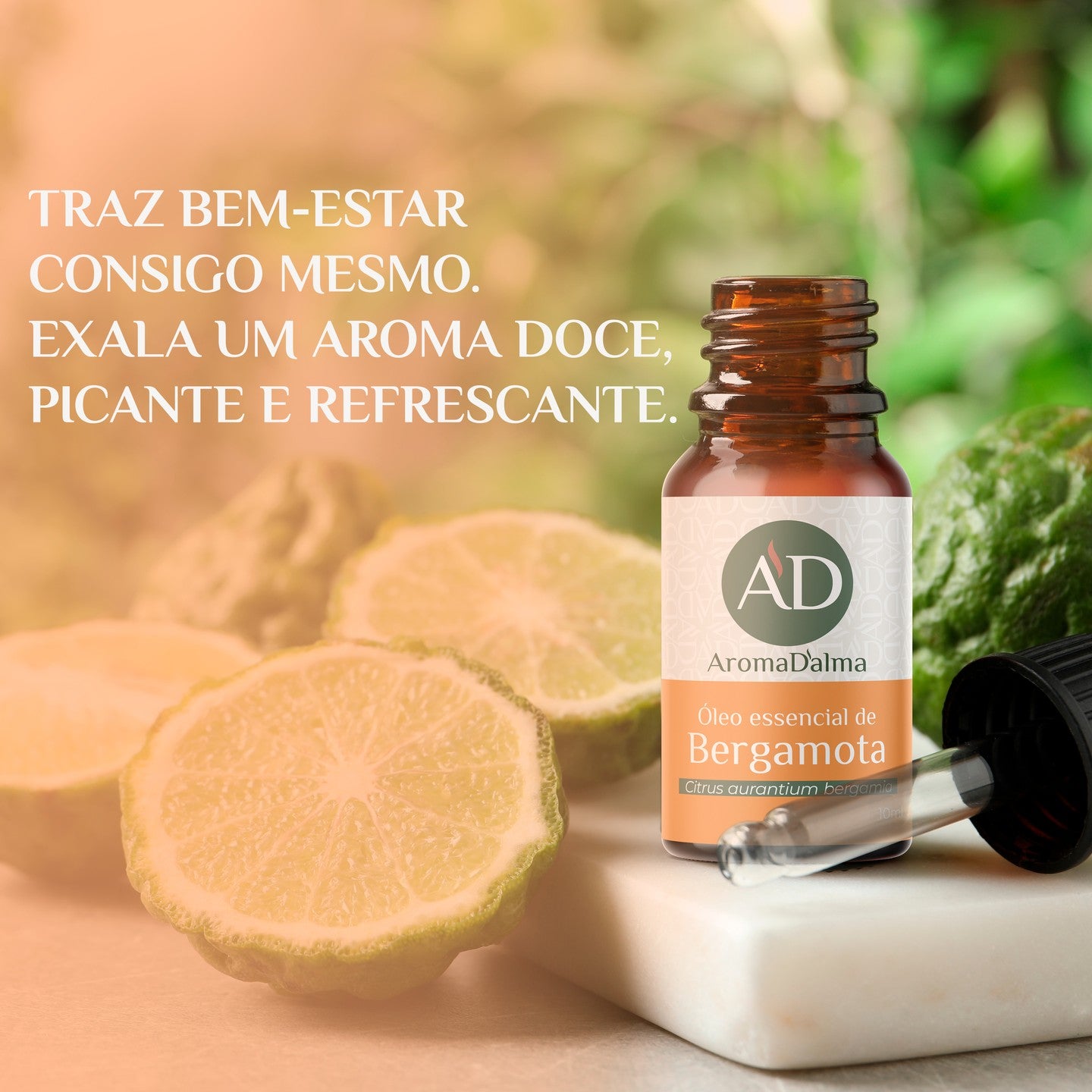 Aroma D'Alma
