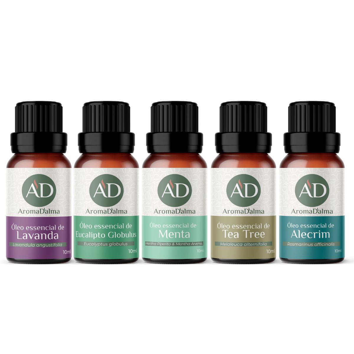 Kit Óleos Essenciais - Lavanda, Eucalipto Globulus, Menta, TeaTree e Alecrim