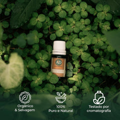 Óleo Essencial de Breu Branco - 10ml