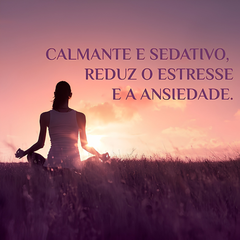Óleo Essencial de Lavanda 10ml